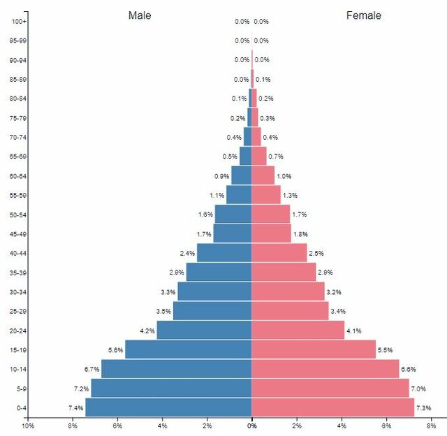 Demographic Pyramid 2019